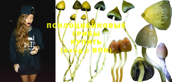 PSILOCYBIN Верхний Тагил